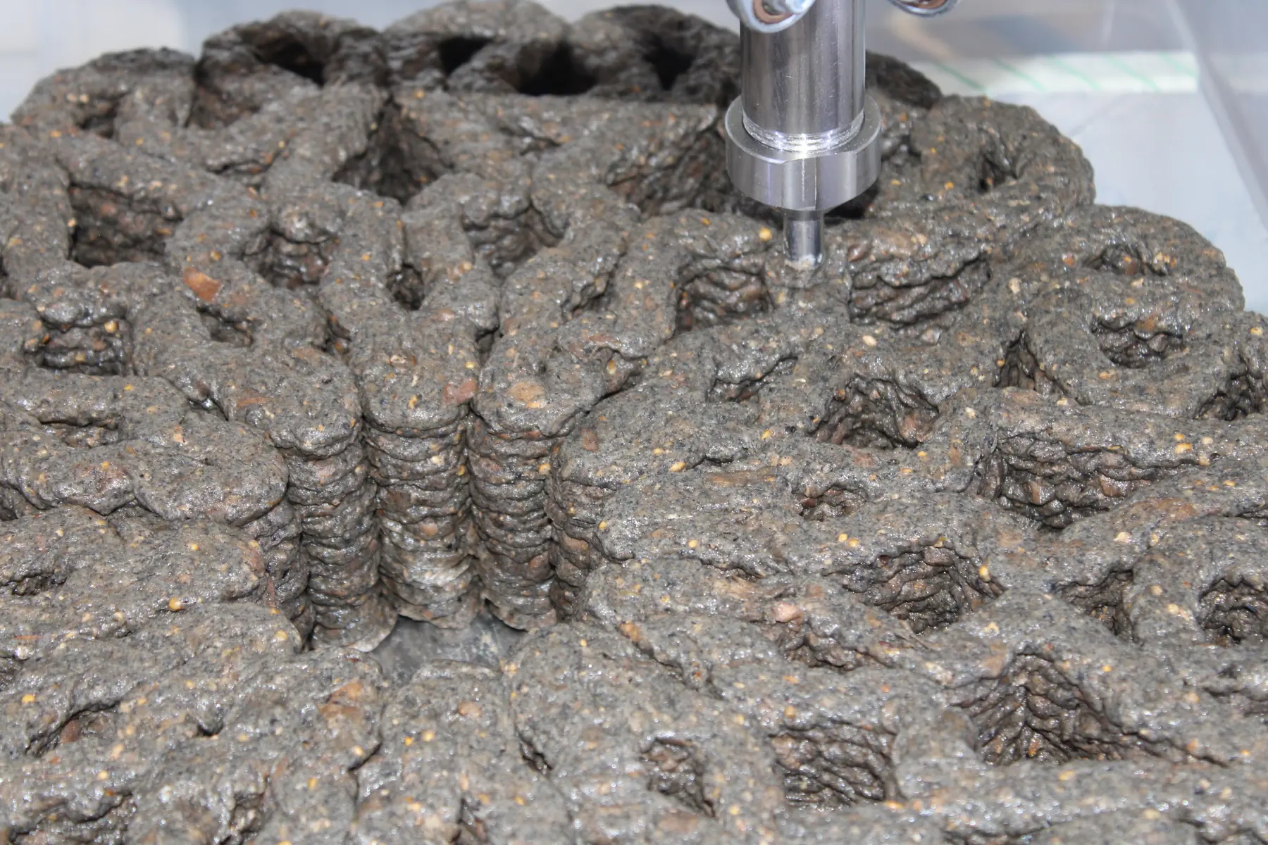The nozzle above the brain-coral pattern, laying a new layer