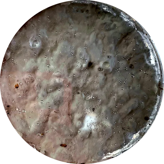 A petri dish almost fully white