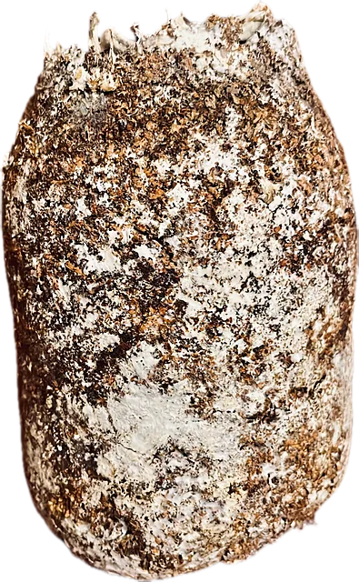 A cylinder of colonised substrate