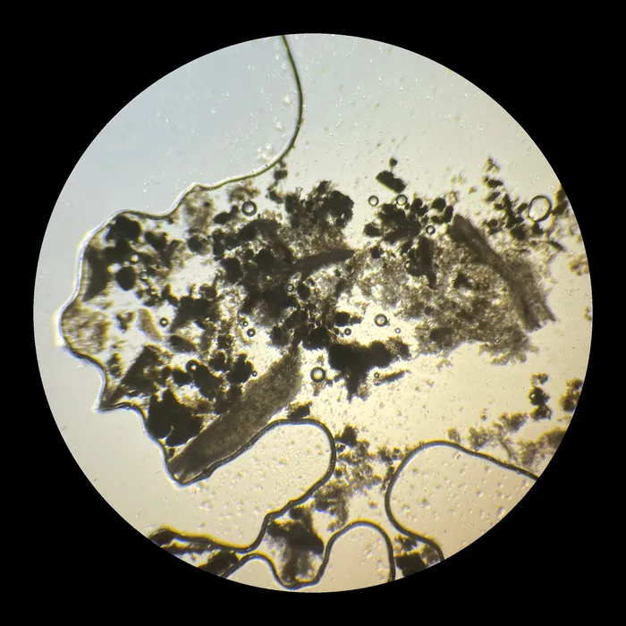 Through the microscope: a dark branching mass