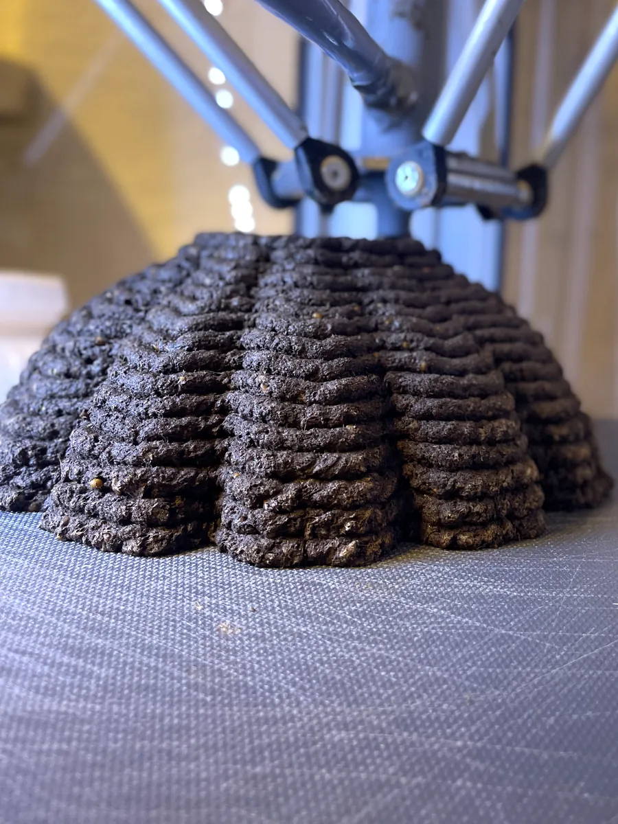 A fluted dome of dark paste on the printer bed