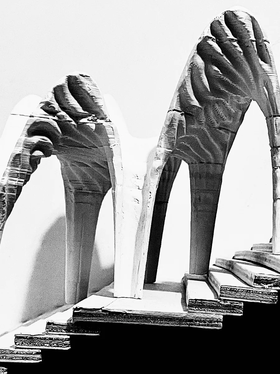 Black and white photograph of the ribbed shells on the stair model