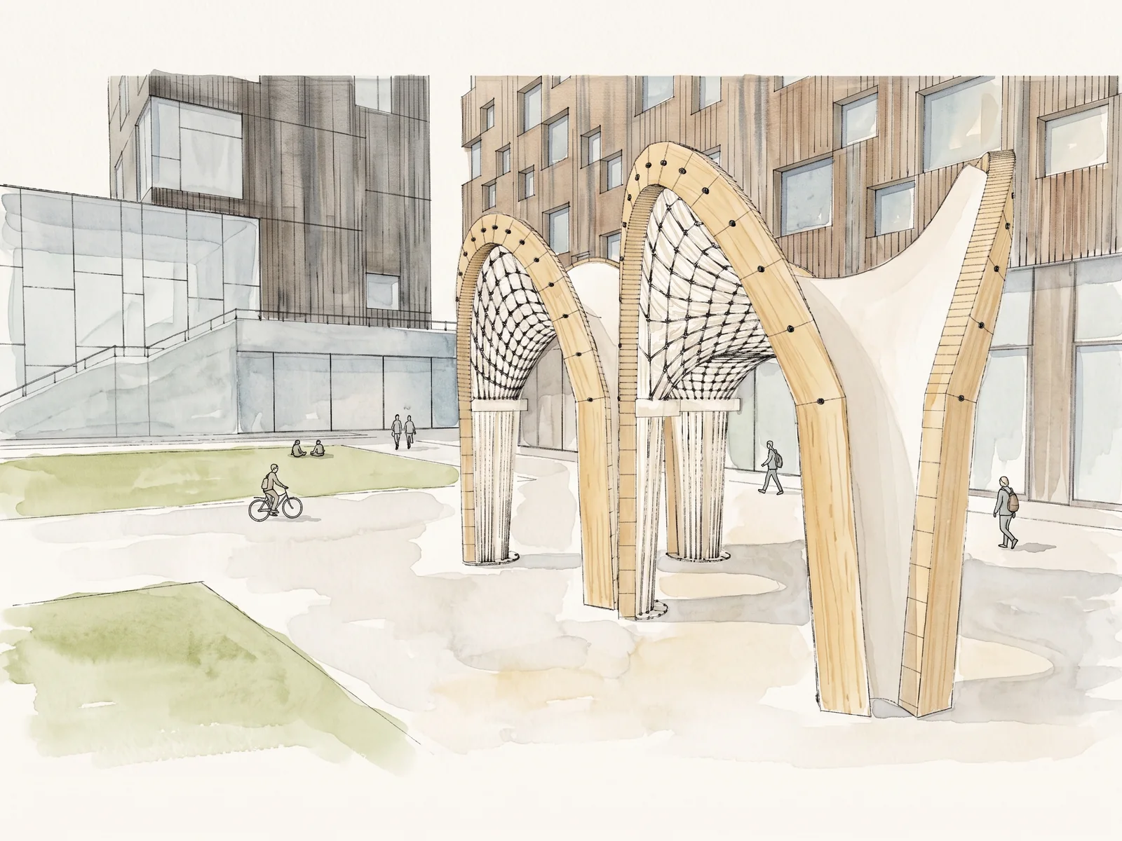 Line and watercolour drawing of timber arches carrying a net of string and a pale skin, on a lawn in front of the university, people sitting under them and crossing the square