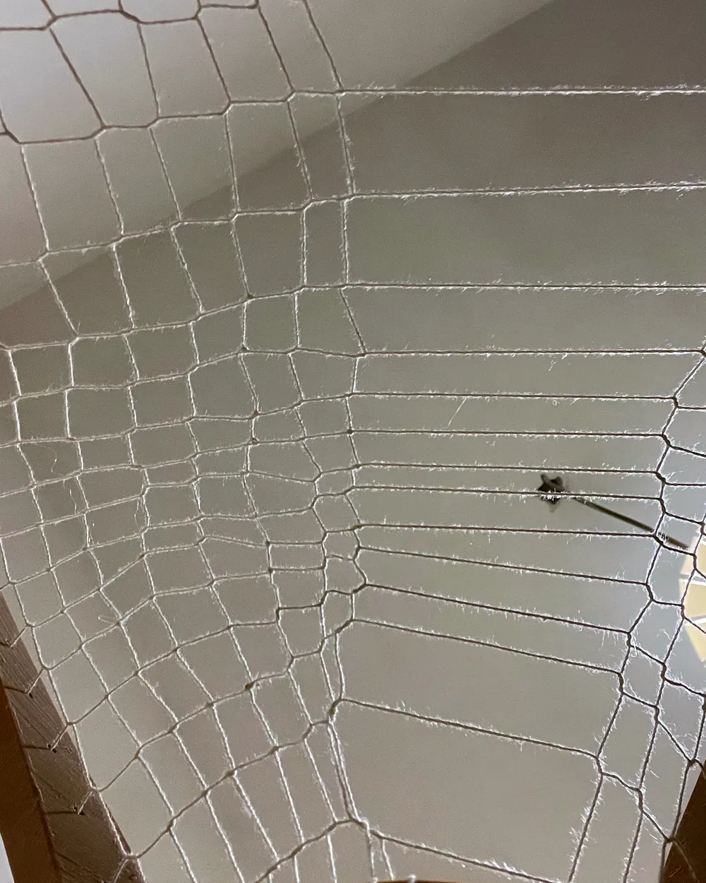Close view of the net of white string stretched between the arches