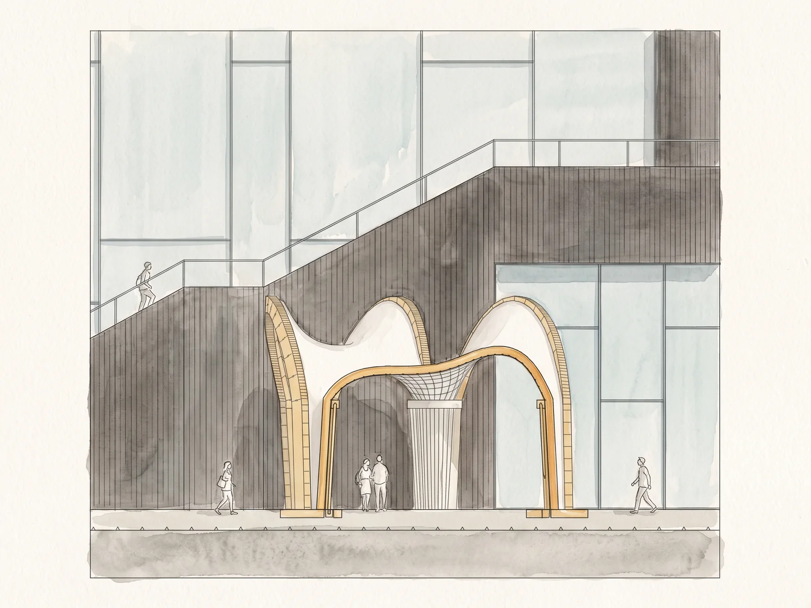 Coloured section through the flat shells, the timber arches cut, the net funnel in the middle, the museum stair behind