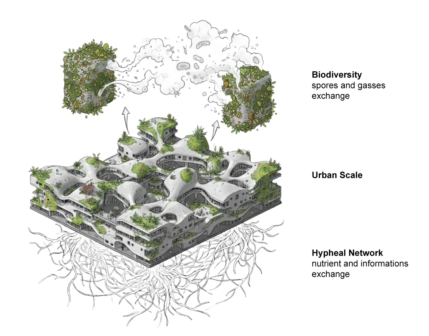 Exploded axonometric drawing of a planted city block, with spores rising above it and a web of hyphae below the ground