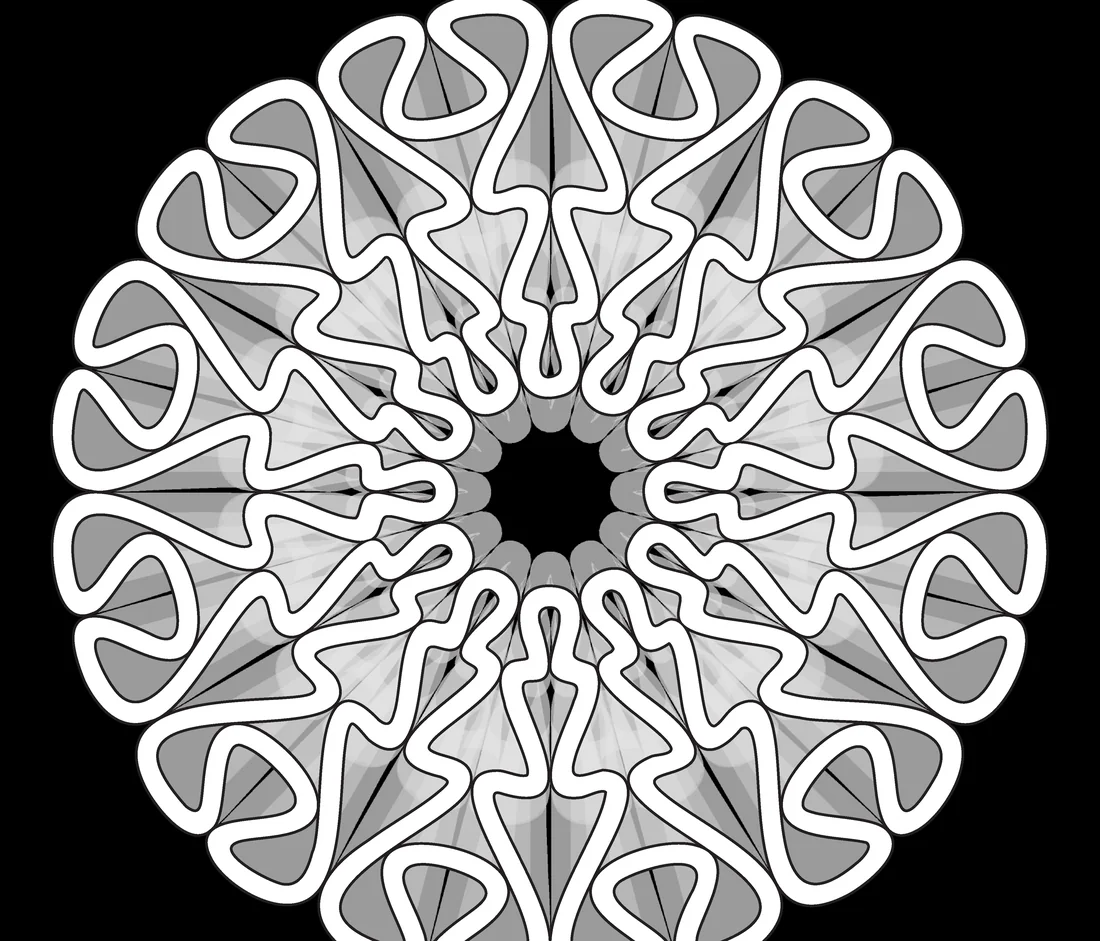 Horizontal section of the joint: white ribs folding in a ring around a dark centre, on black