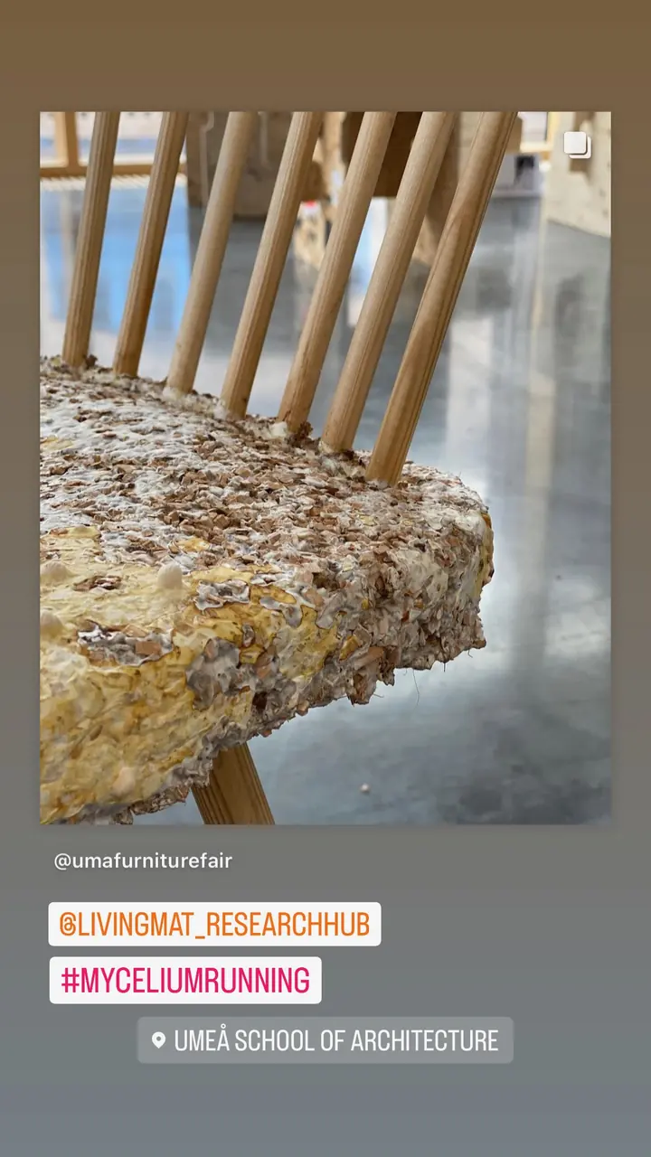 Story: the REishi chair's seat at the furniture fair